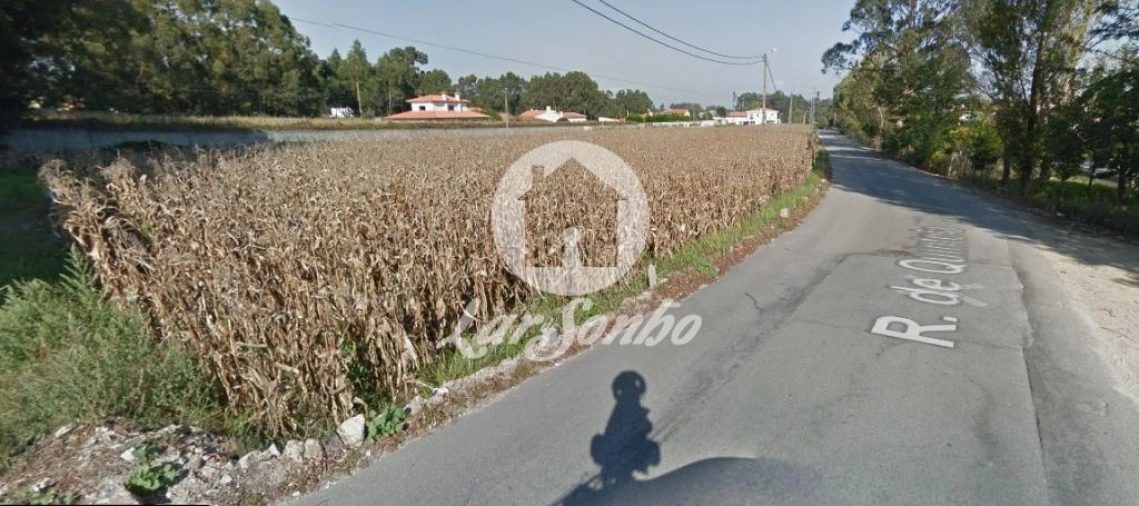 Terreno Agricola ou Rústico para Venda em Póvoa de Varzim, Beiriz e Argivai Foto 4