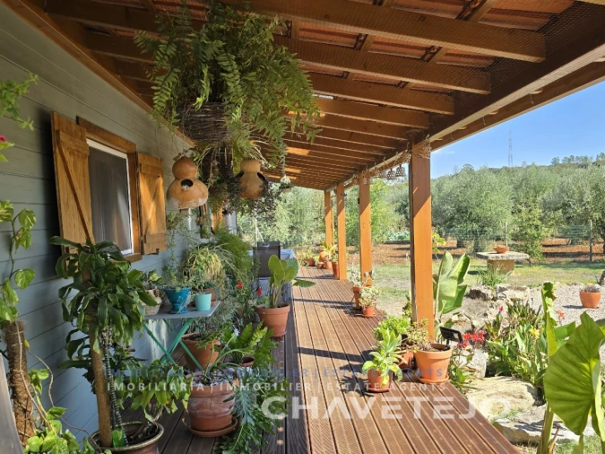 Moradia T2 para Venda em Areias e Pias Foto 22