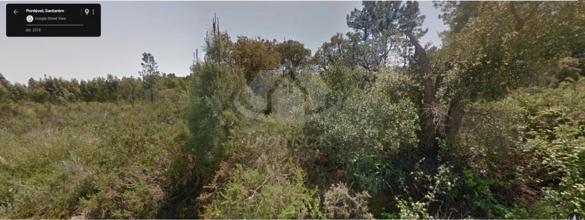 Terreno para Venda em Pontevel Foto 2