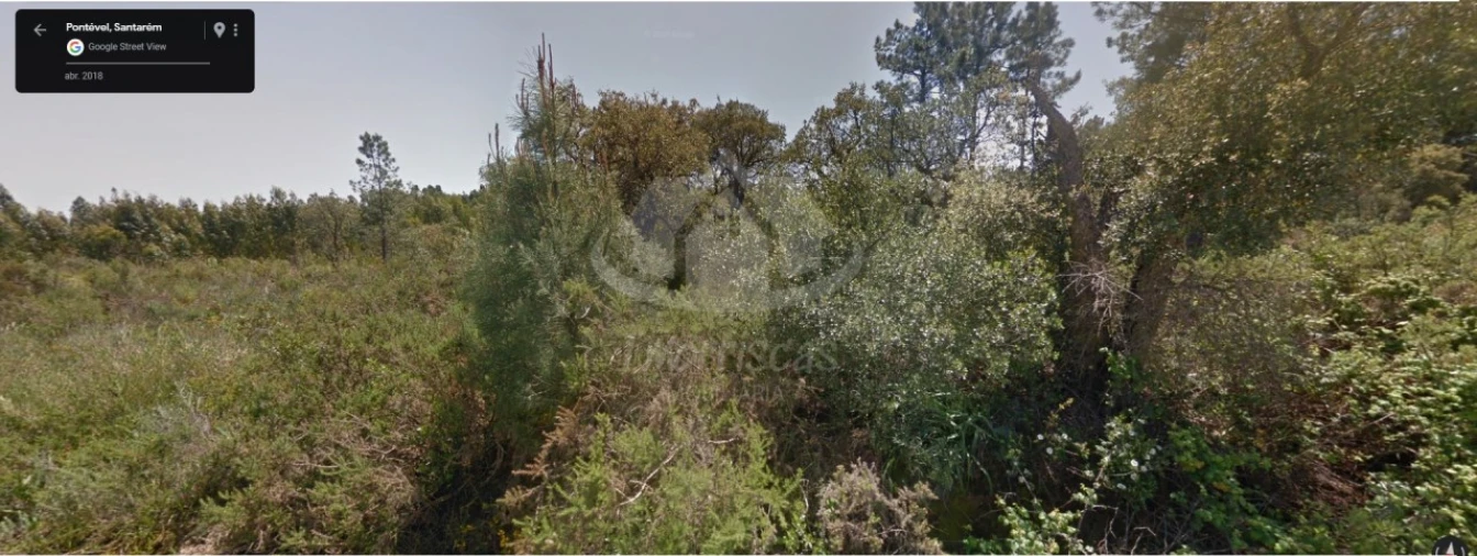 Terreno para Venda em Pontevel Foto 2