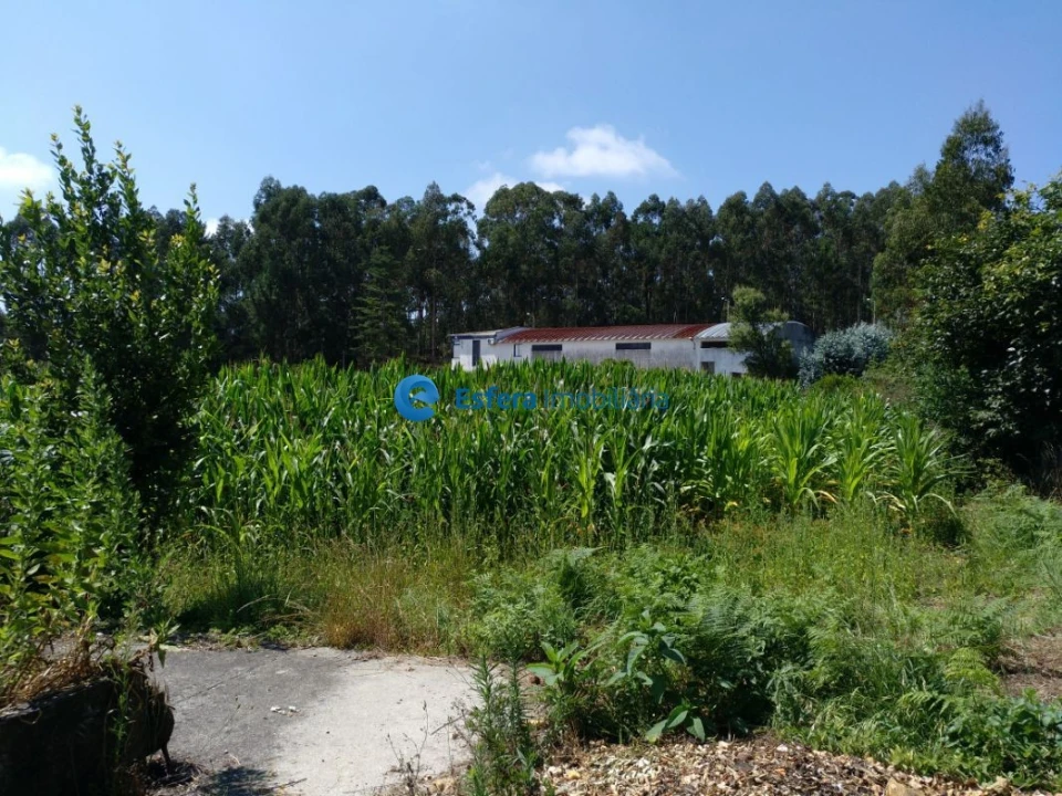 Terreno para Venda em Castêlo da Maia Foto 4