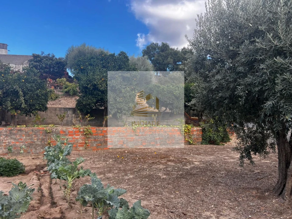 Moradia T0 para Venda em Barrosa Foto 30