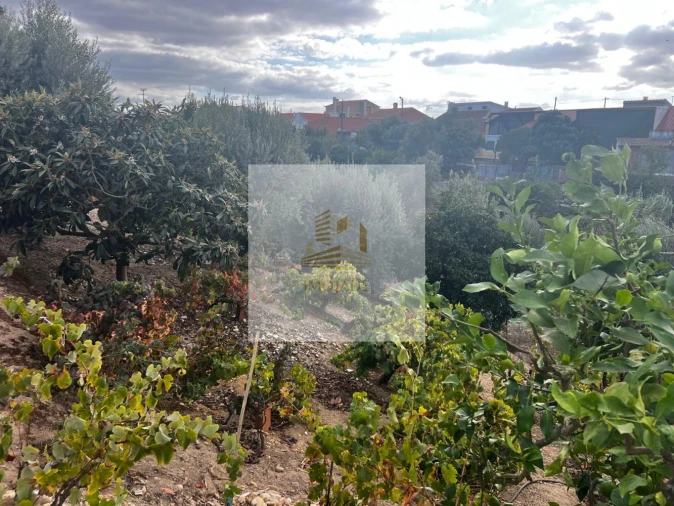 Moradia T0 para Venda em Barrosa Foto 7