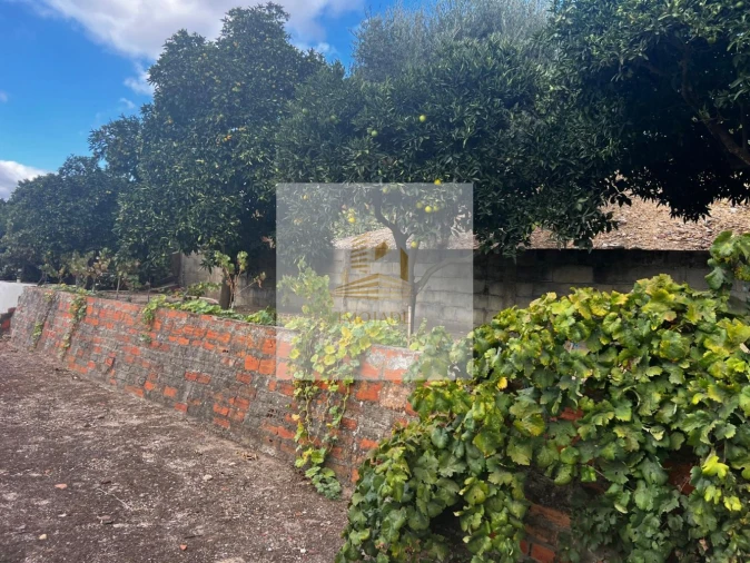 Moradia T0 para Venda em Barrosa Foto 21