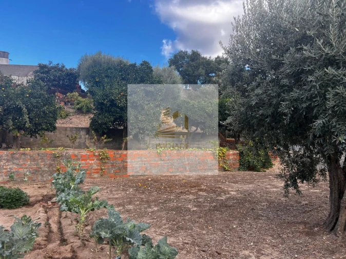 Moradia T0 para Venda em Barrosa Foto 30