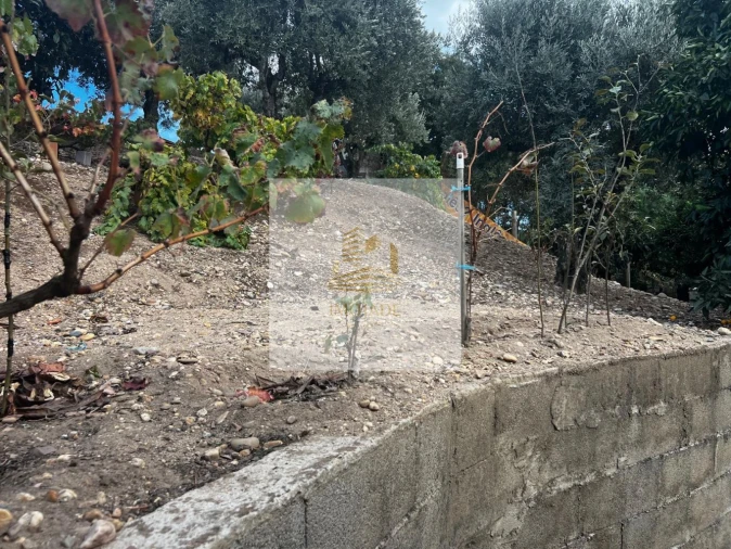 Moradia T0 para Venda em Barrosa Foto 26