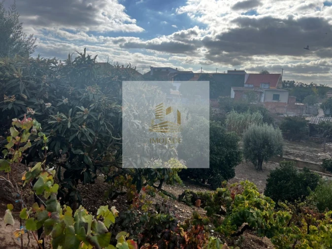 Moradia T0 para Venda em Barrosa Foto 11