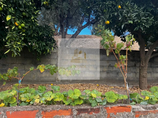 Moradia T0 para Venda em Barrosa Foto 22