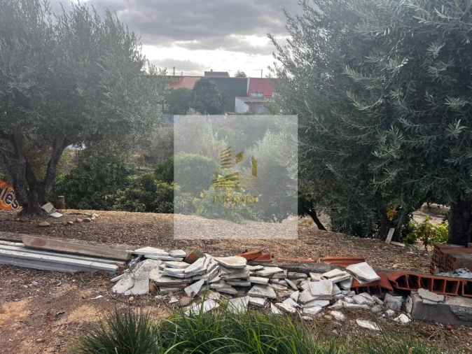 Moradia T0 para Venda em Barrosa Foto 29