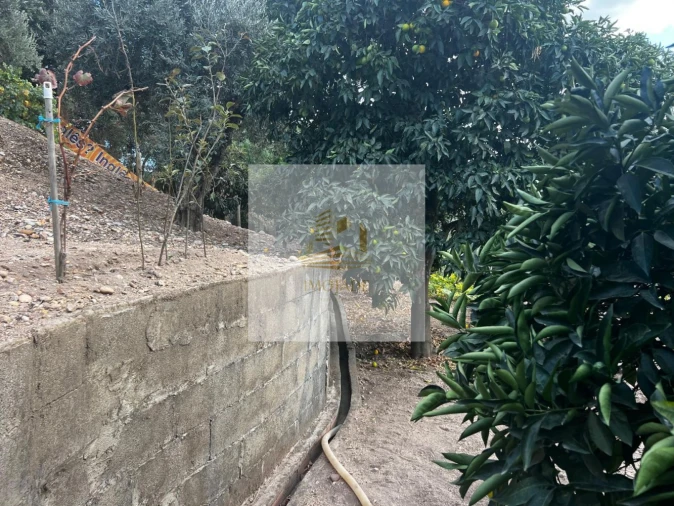 Moradia T0 para Venda em Barrosa Foto 27