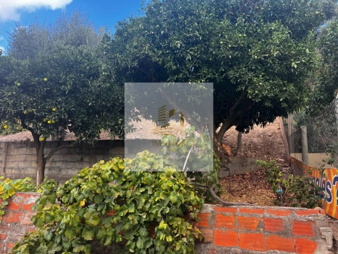 Moradia T0 para Venda em Barrosa Foto 19