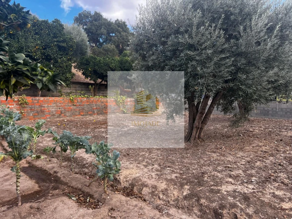 Moradia T0 para Venda em Barrosa Foto 17