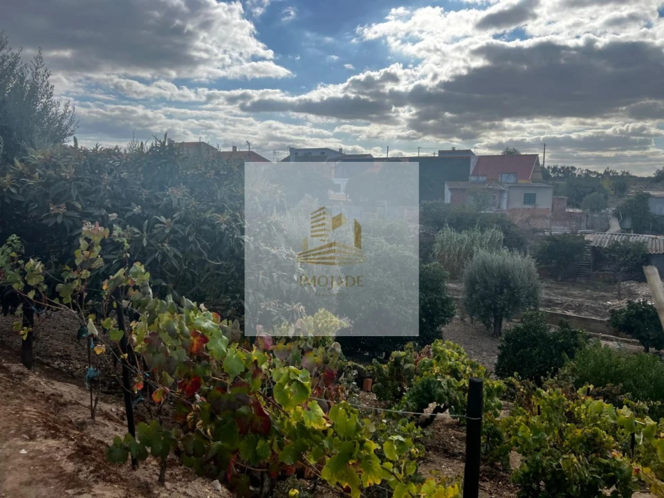 Moradia T0 para Venda em Barrosa Foto 8