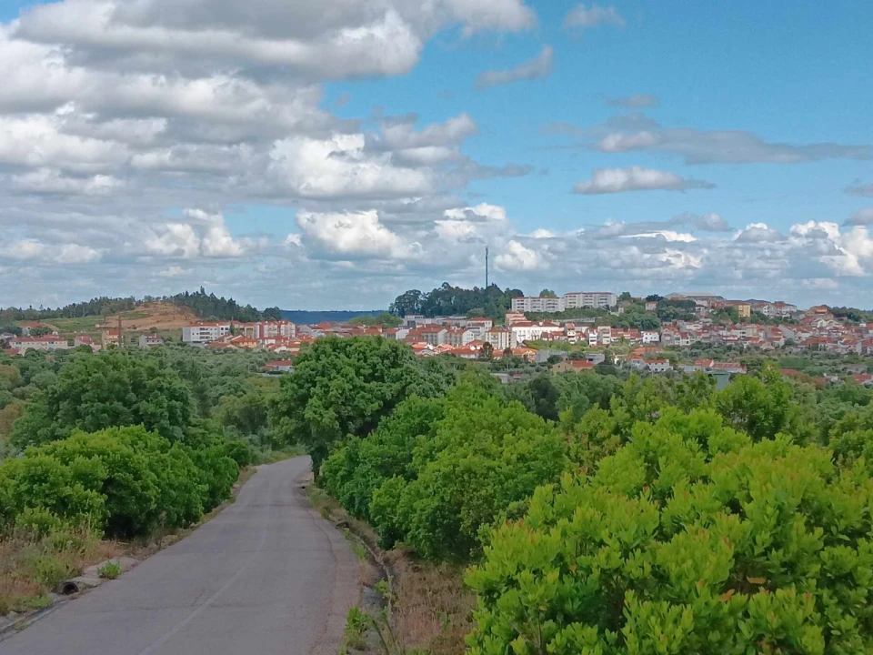Moradia T5 para Venda em Mação, Penhascoso e Aboboreira Foto 38