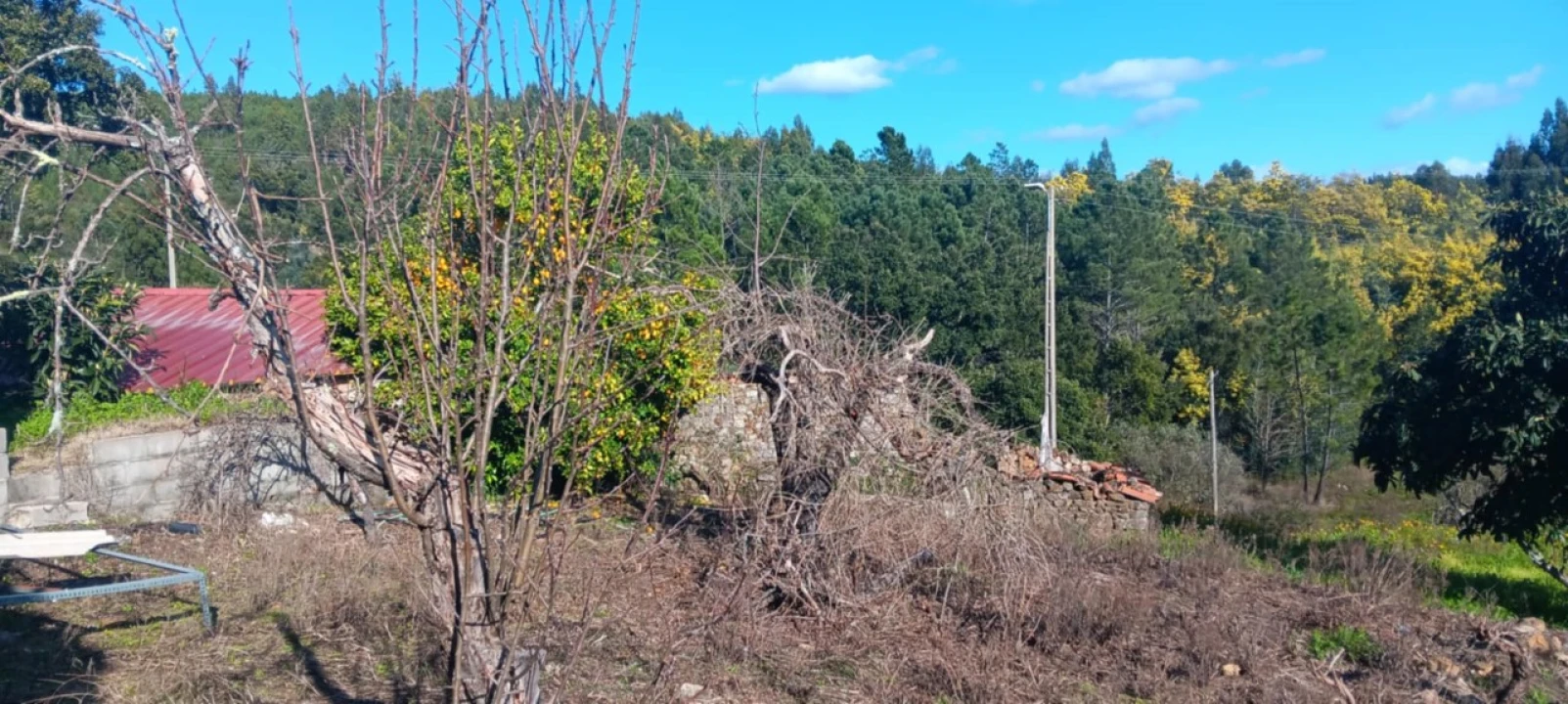 Terreno Misto para Arrendamento em Carvoeiro Foto 9