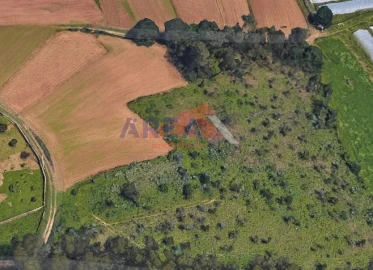 Terreno para Venda em São Martinho da Gandara