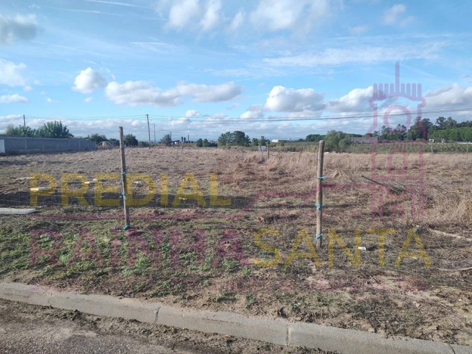 Terreno Agricola ou Rústico para Venda em Alpiarça Foto 3