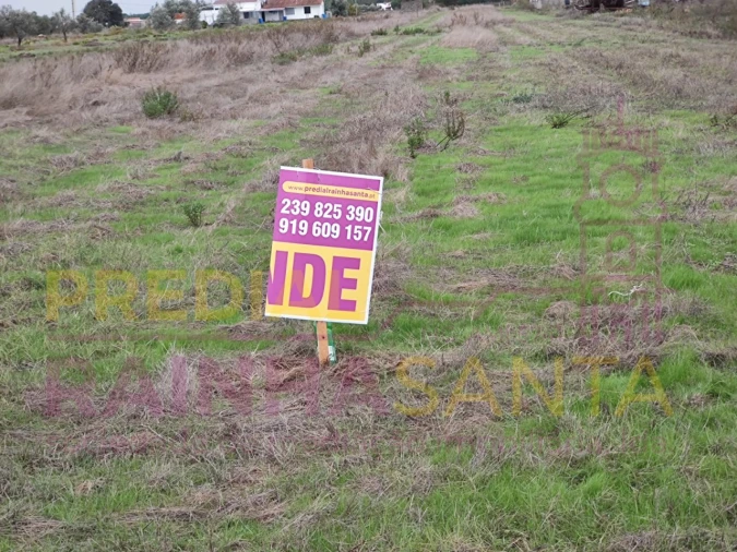 Terreno Agricola ou Rústico para Venda em Alpiarça Foto 2