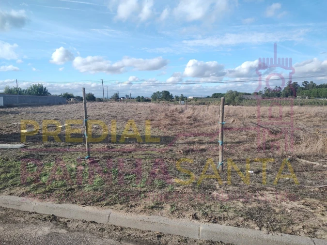 Terreno Agricola ou Rústico para Venda em Alpiarça Foto 4