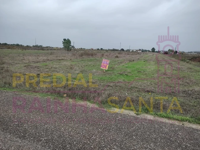 Terreno Agricola ou Rústico para Venda em Alpiarça Foto 6
