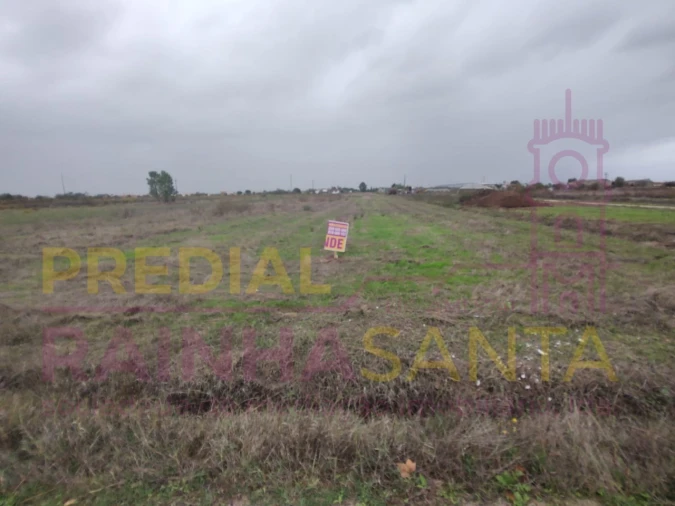 Terreno Agricola ou Rústico para Venda em Alpiarça Foto 8