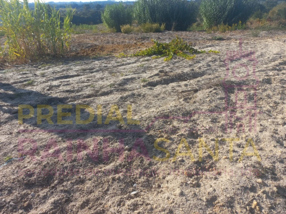 Terreno Agricola ou Rústico para Venda em Vila Chã de Ourique Foto 9
