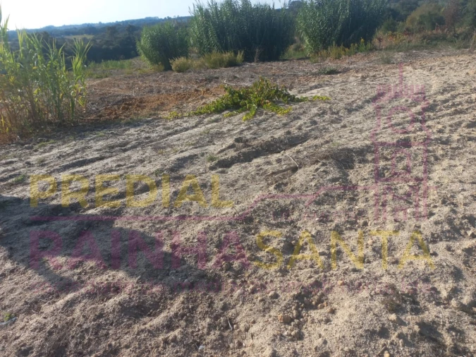 Terreno Agricola ou Rústico para Venda em Vila Chã de Ourique Foto 4