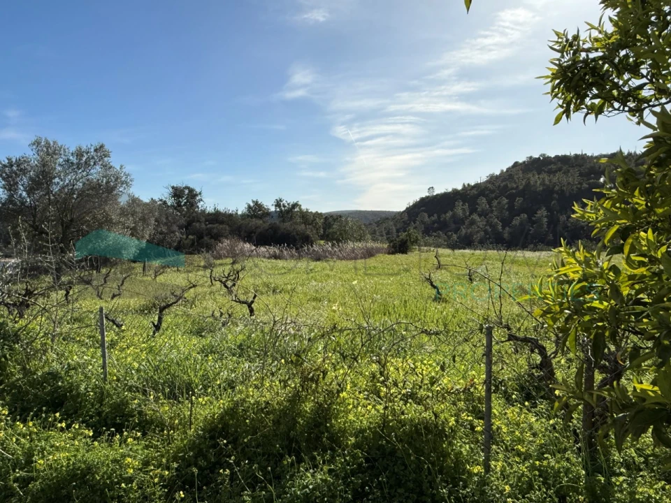 Moradia T3 para Venda em Querença, Tôr e Benafim Foto 3