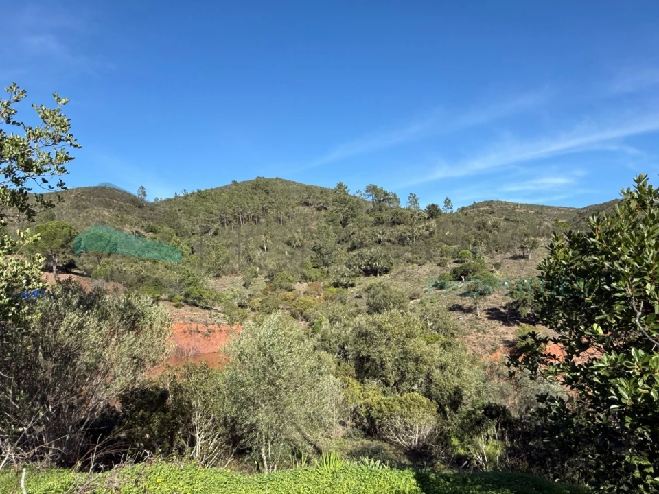 Moradia T3 para Venda em Querença, Tôr e Benafim Foto 24