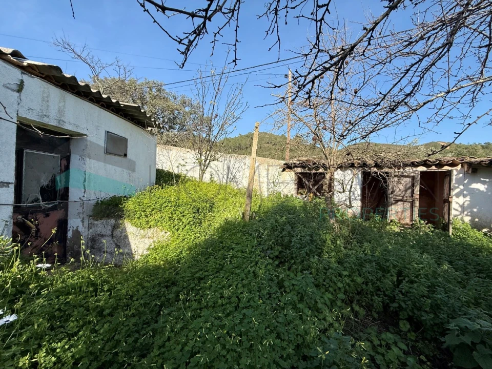 Moradia T3 para Venda em Querença, Tôr e Benafim Foto 30