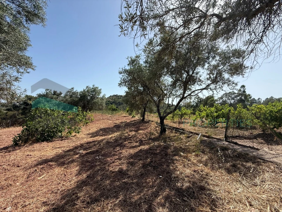 Moradia T3 para Venda em Querença, Tôr e Benafim Foto 34