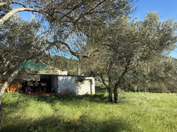 Moradia T3 para Venda em Querença, Tôr e Benafim Foto 25