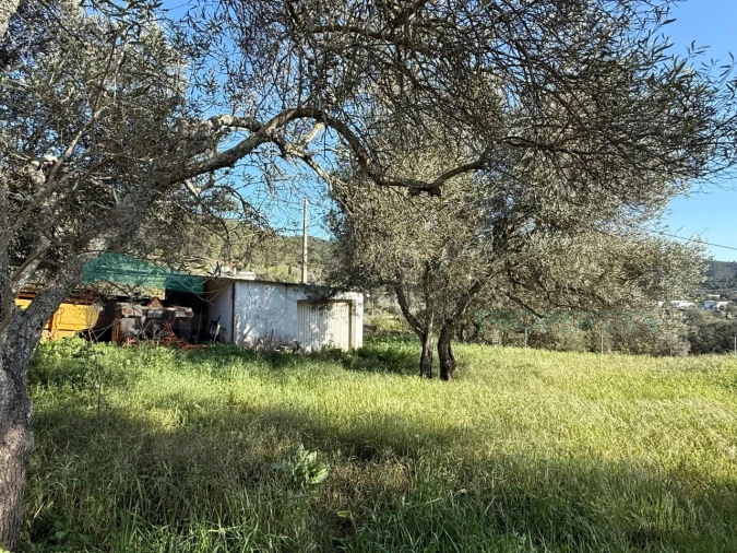 Moradia T3 para Venda em Querença, Tôr e Benafim Foto 29