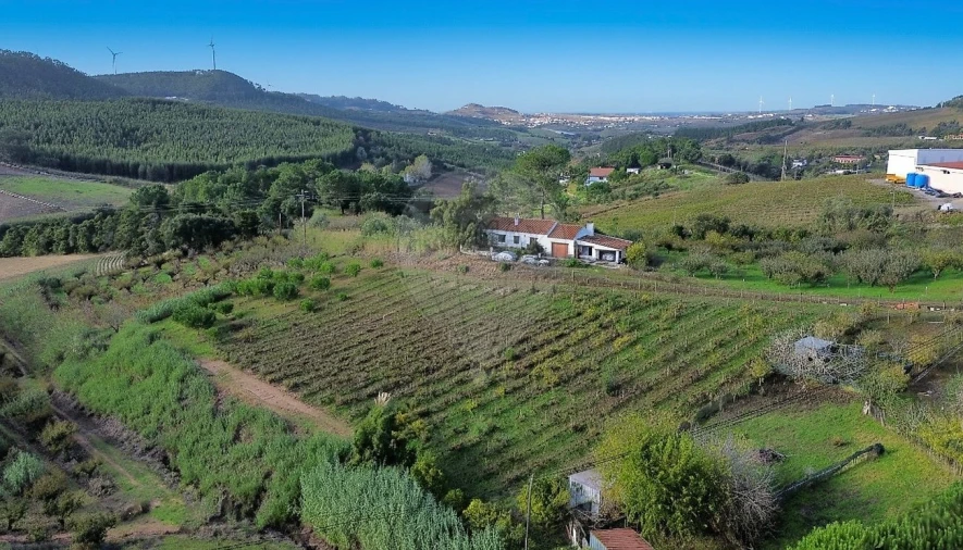 Moradia T4 para Venda em Azueira e Sobral da Abelheira Foto 31