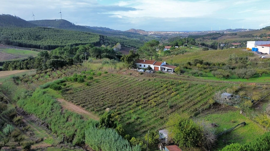 Moradia T4 para Venda em Azueira e Sobral da Abelheira Foto 31