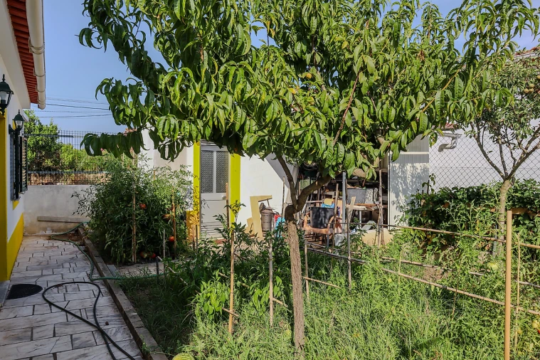 Terreno para Venda em Quinta do Anjo Foto 10