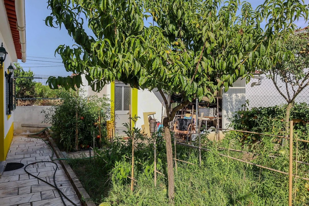 Terreno para Venda em Quinta do Anjo Foto 21