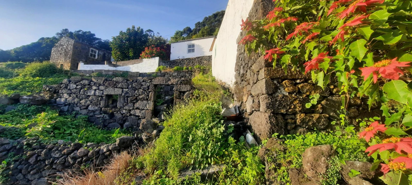 Moradia para Venda em Ribeiras Foto 16