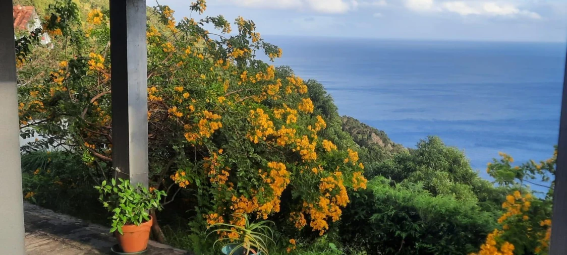 Moradia para Venda em Ribeiras Foto 11