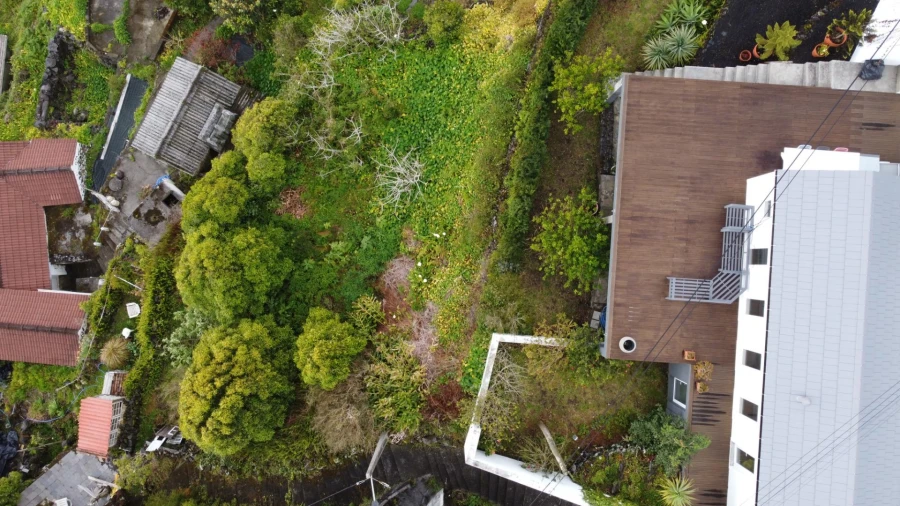 Moradia para Venda em Ribeiras Foto 19