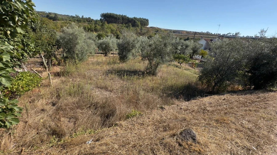 Terreno para Venda em Fragosela