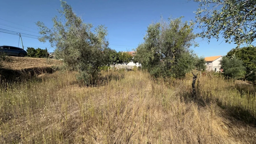 Terreno para Venda em Fragosela Foto 10