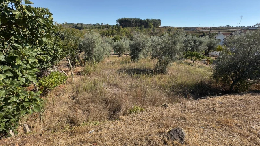 Terreno para Venda em Fragosela Foto 2