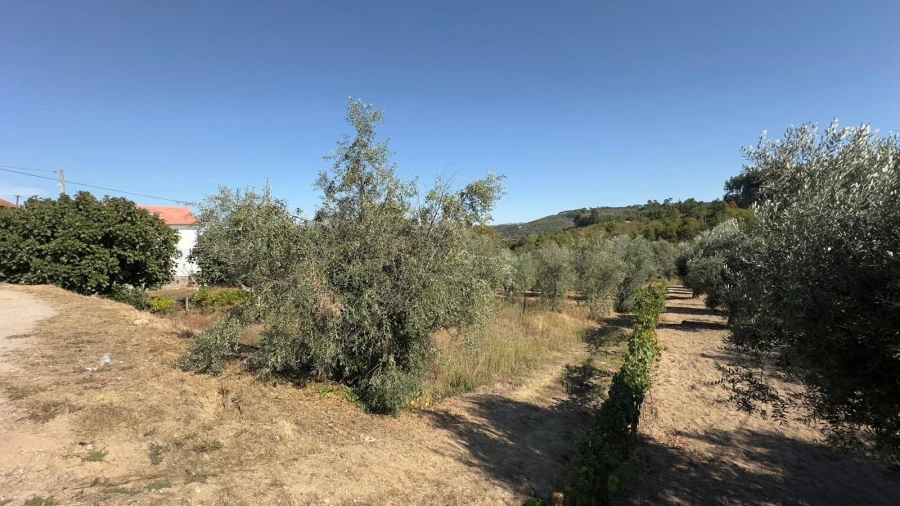 Terreno para Venda em Fragosela Foto 3