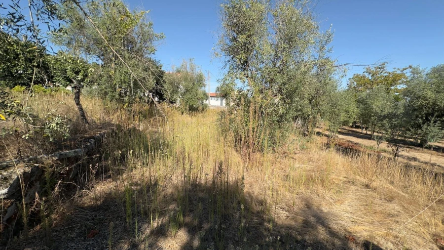 Terreno para Venda em Fragosela Foto 4