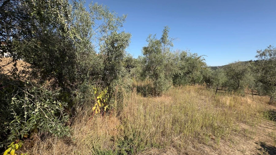 Terreno para Venda em Fragosela Foto 5