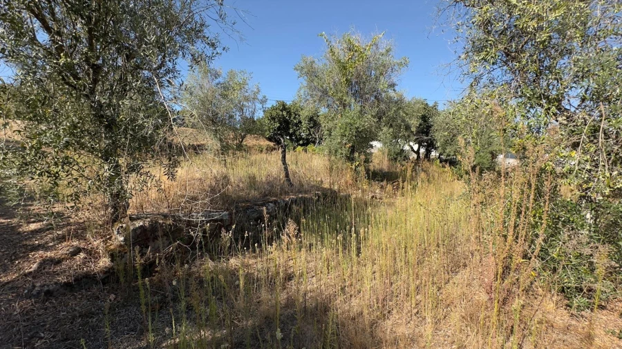 Terreno para Venda em Fragosela Foto 8