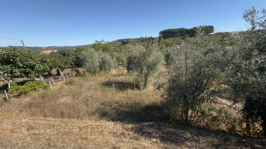 Terreno para Venda em Fragosela Foto 9