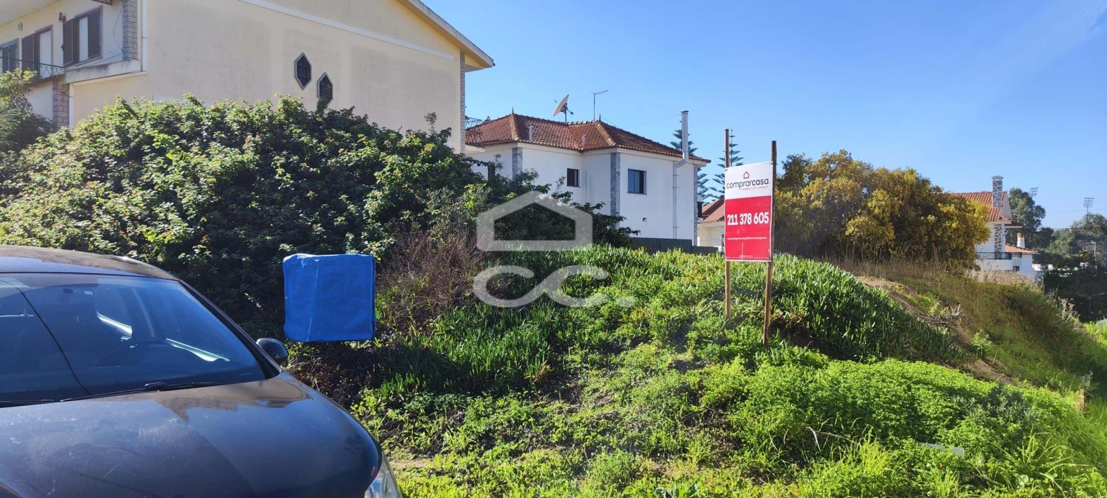 Terreno para Venda em Amora Foto 2