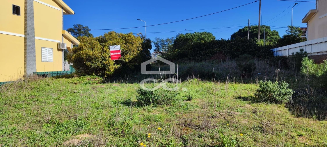 Terreno para Venda em Amora